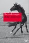 [Walt Longmire 05] • El Caballo Negro